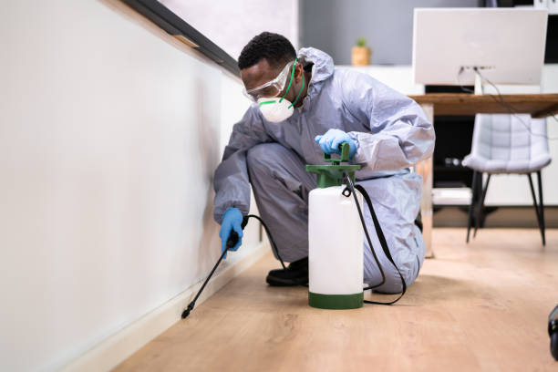 Best Fumigation Services  in Dresser, WI